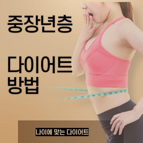 중장년층 다이어트