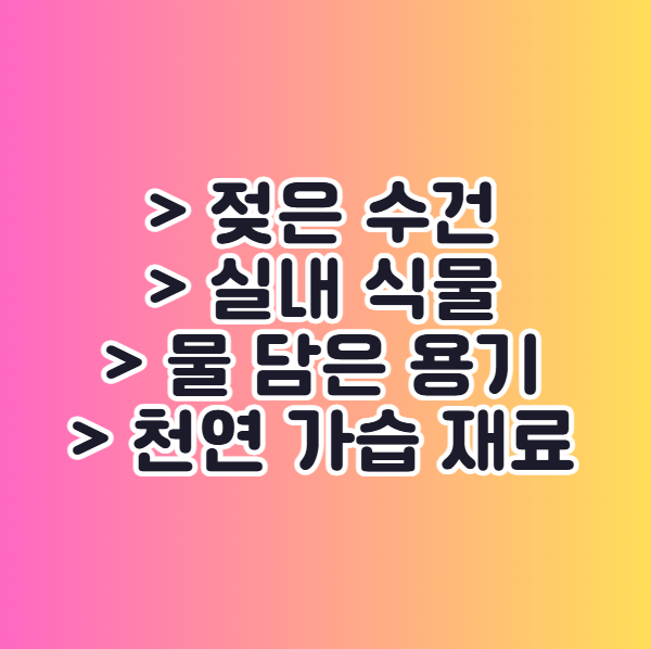 실내 적정 습도 관리 가습기 없이