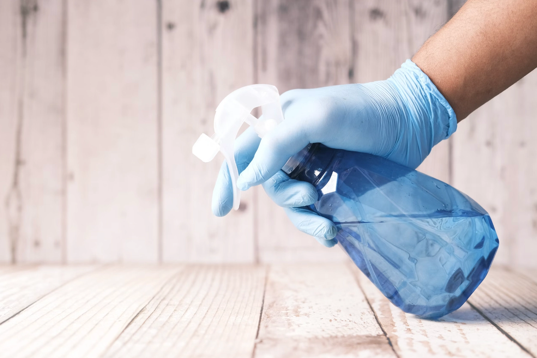 한타바이러스 예방법