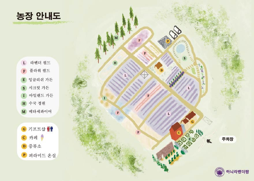 하늬라벤더팜 안내도