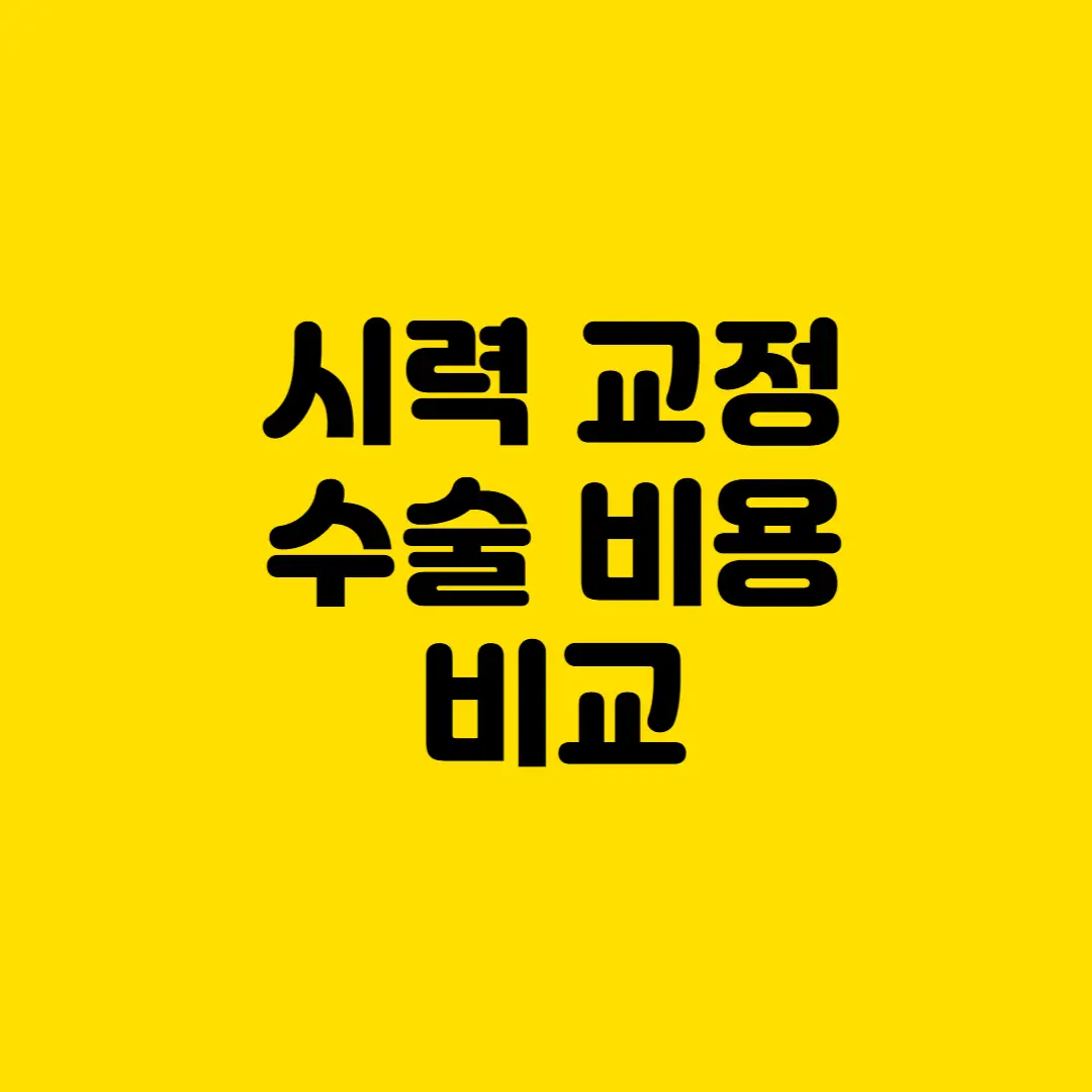 시력 교정 수술 비용 비교