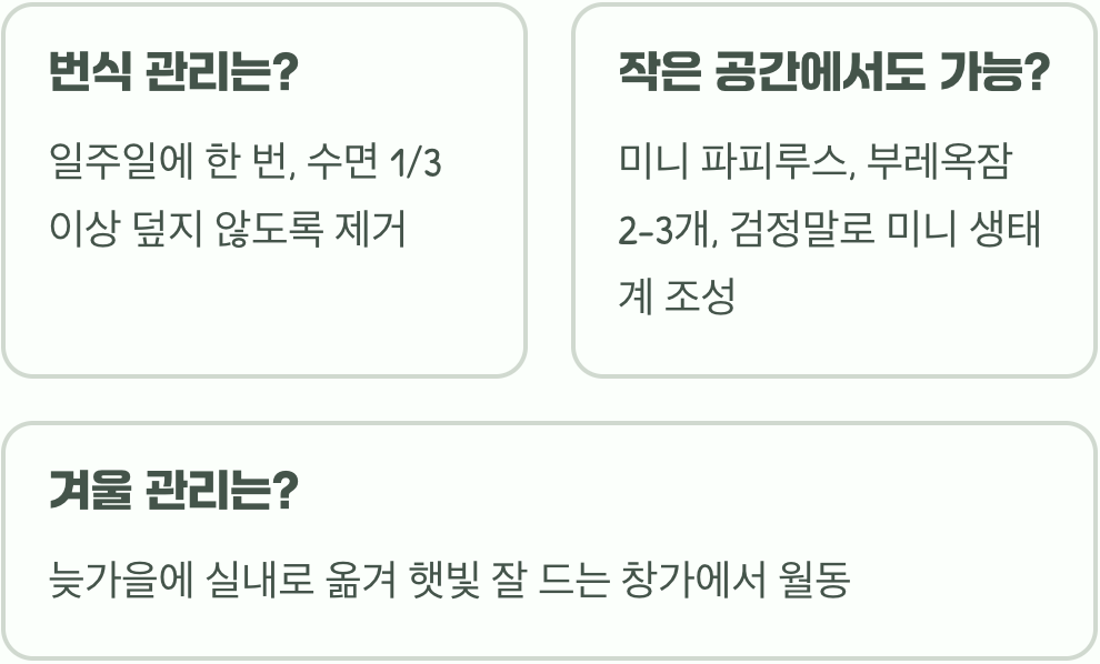 부레옥잠과 궁합이 좋은 수생식물&amp;#44; 함께 키우면 더 예뻐요