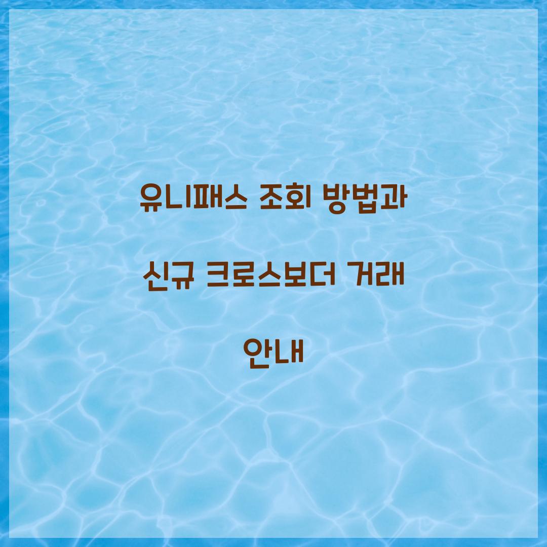 유니패스 조회 방법