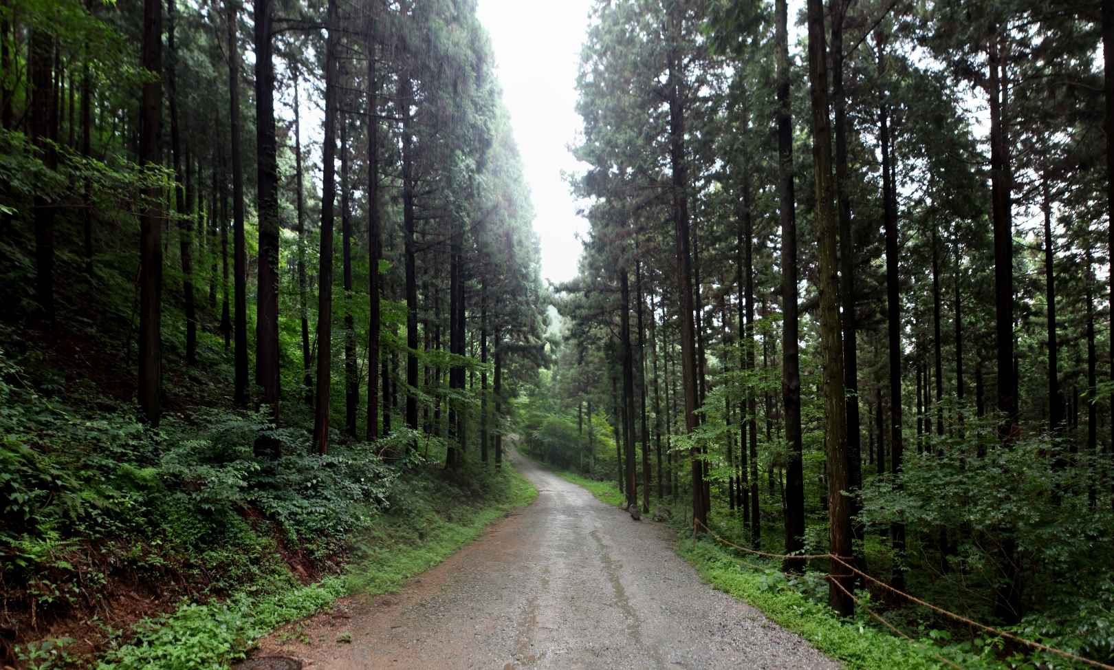 축령산 휴양림