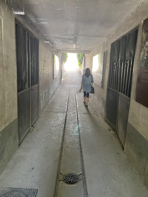 알빵 가든 (Jardin alpin)