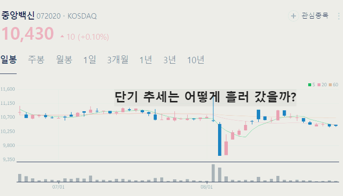 아프리카 돼지열병 관련주 백신 대장주 TOP9