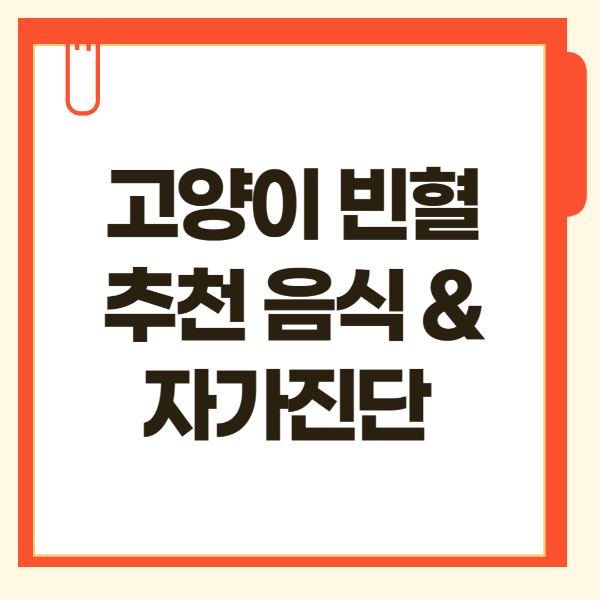 고양이 빈혈 추천 음식, 자가진단 테스트 바로가기