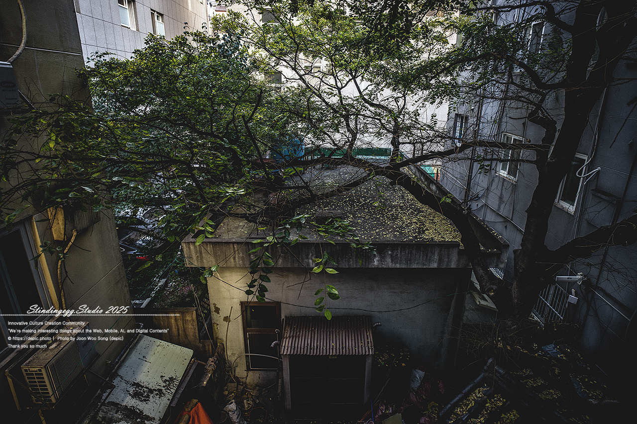 #창밖 #어지러운