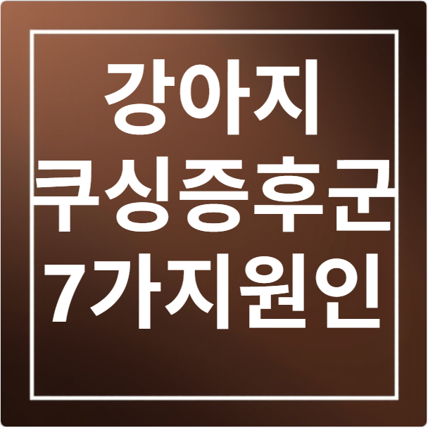 강아지 쿠싱증후군 7가지 원인