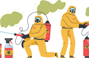 빈대 물린자국 빈대 퇴치법 퇴치제 살충제