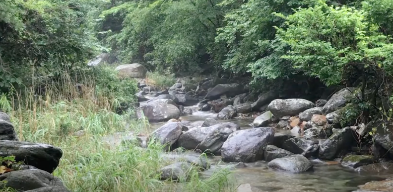 양평-사나사계곡