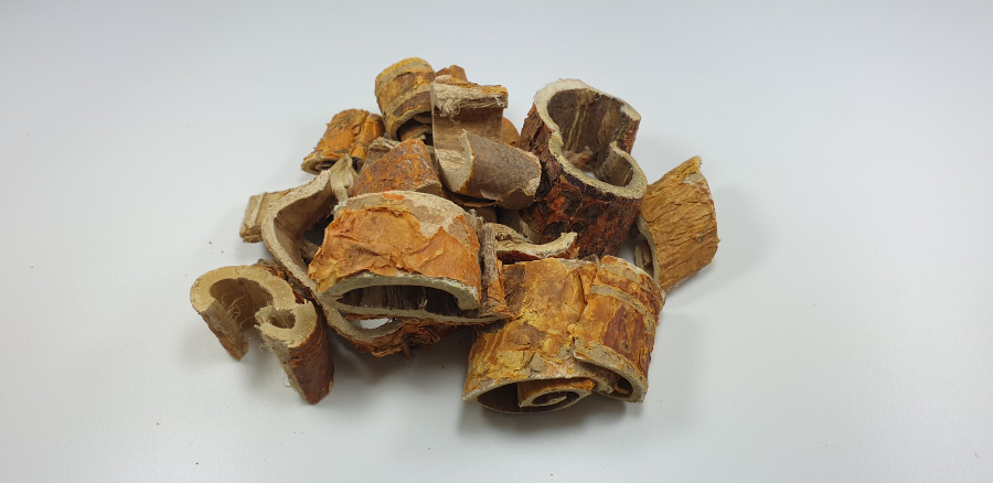 야생에서 채취를 한 뽕나무 뿌리에서 상피를 제거하고 흰껍질만 모아 놓은 상백피를 하얀 바닥 위에 한움큼 놓아두고 찍은 사진