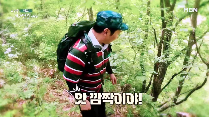 나는 자연인이다 곤드레밥, 부추전, 텃밭 아스파라거스 미나리 삼겹살, 1200평 땅을 나눠 산골 생활, 이웃집 두 남자 자연인 권영팔, 김진식 소개 및 이승윤 출연 558회 다시보기