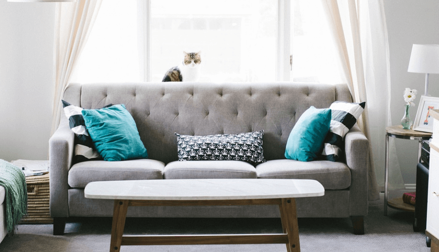 귤껍질 활용법은 쇼파 청소에 도움이 된다. 거실 전경의 모습