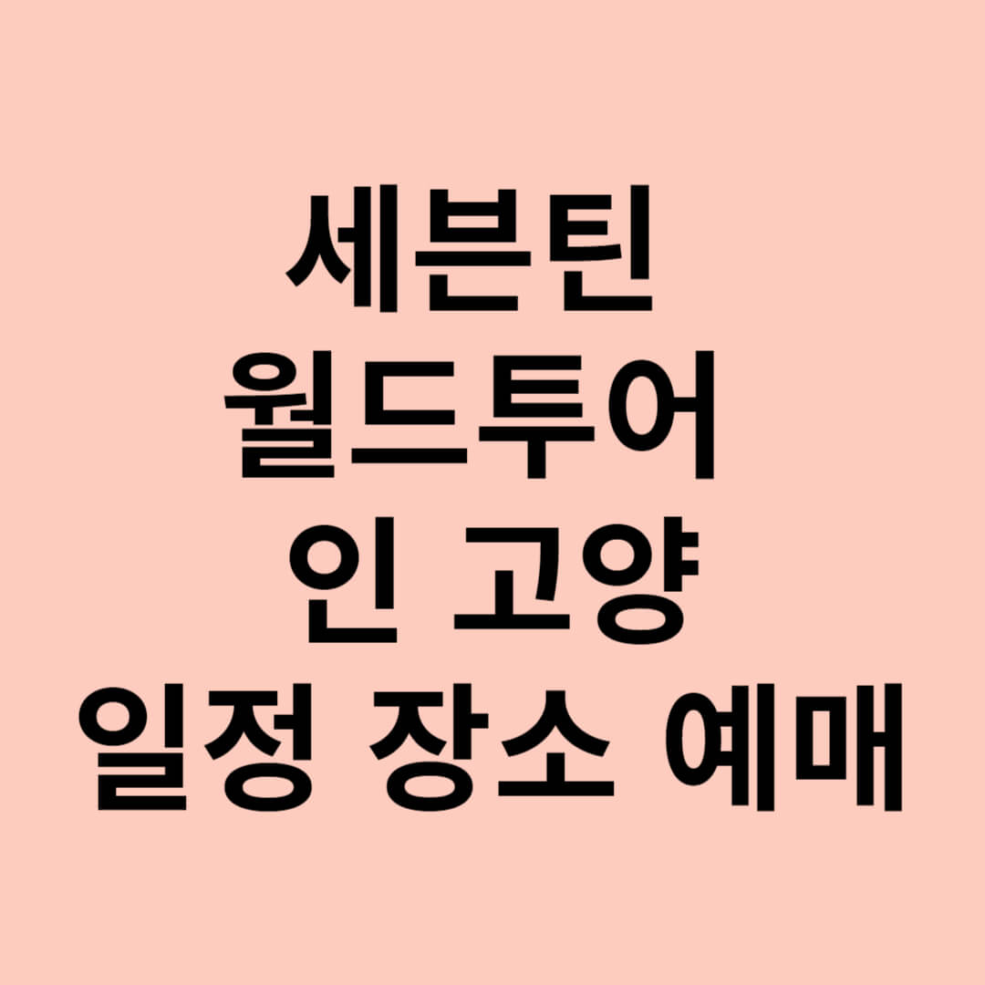 세븐틴 월드투어