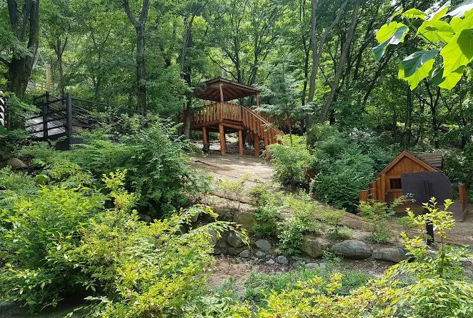 대운산자연휴양림