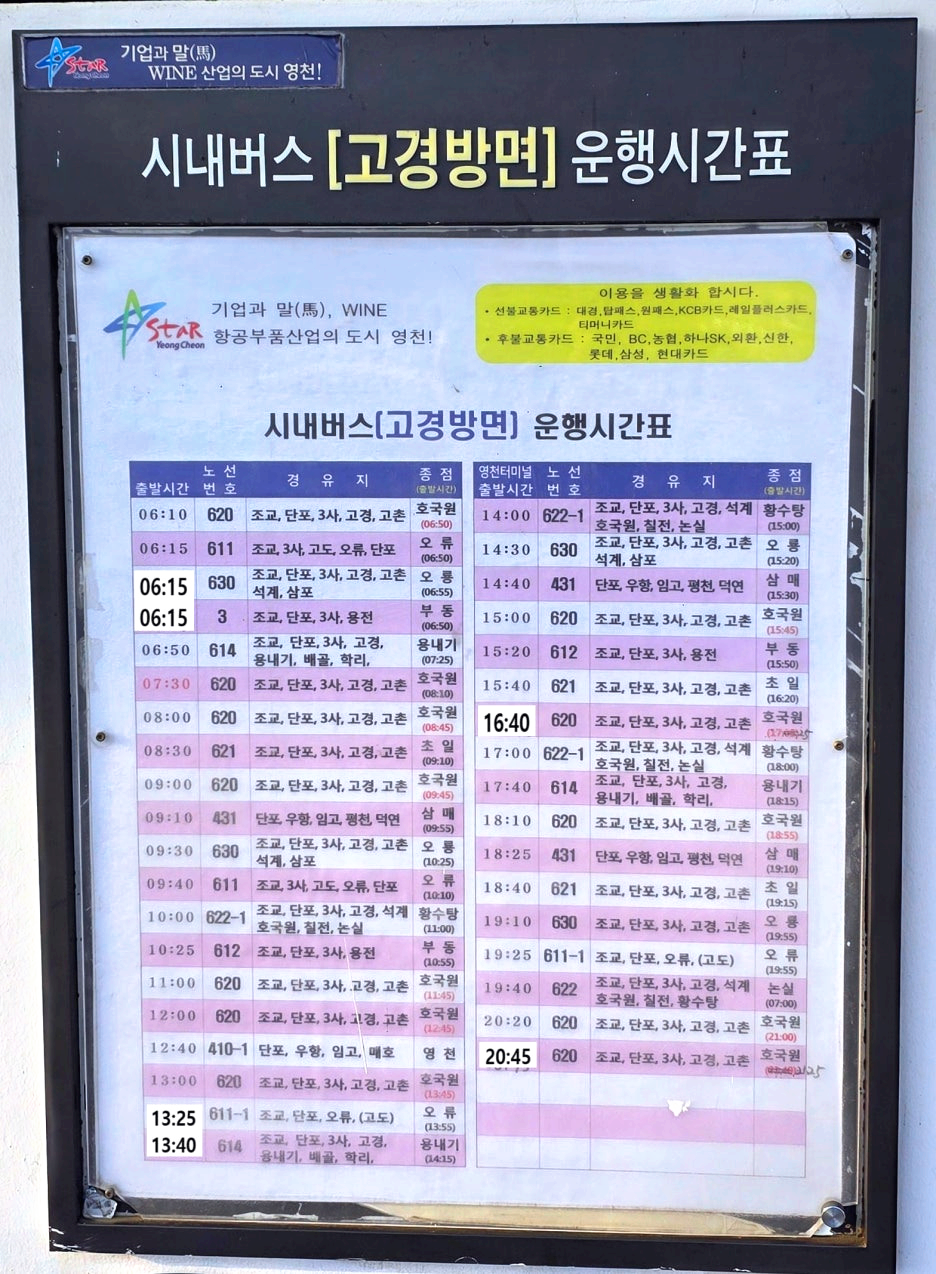 영천버스터미널 시내버스 고경 방면