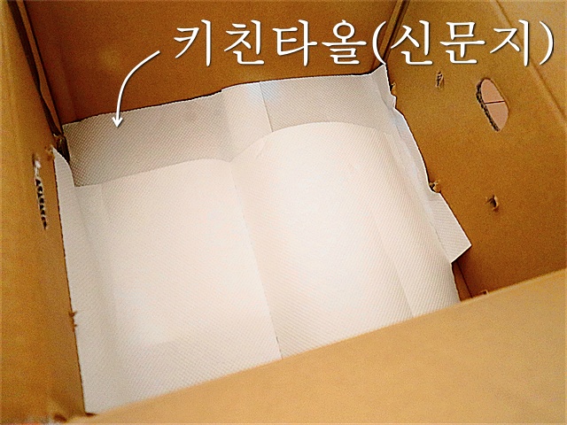 귤 오래 보관하는 방법, 귤 보관법, 귤 오래두고 먹는방법, 생활꿀팁, 팁줌 매일꿀정보