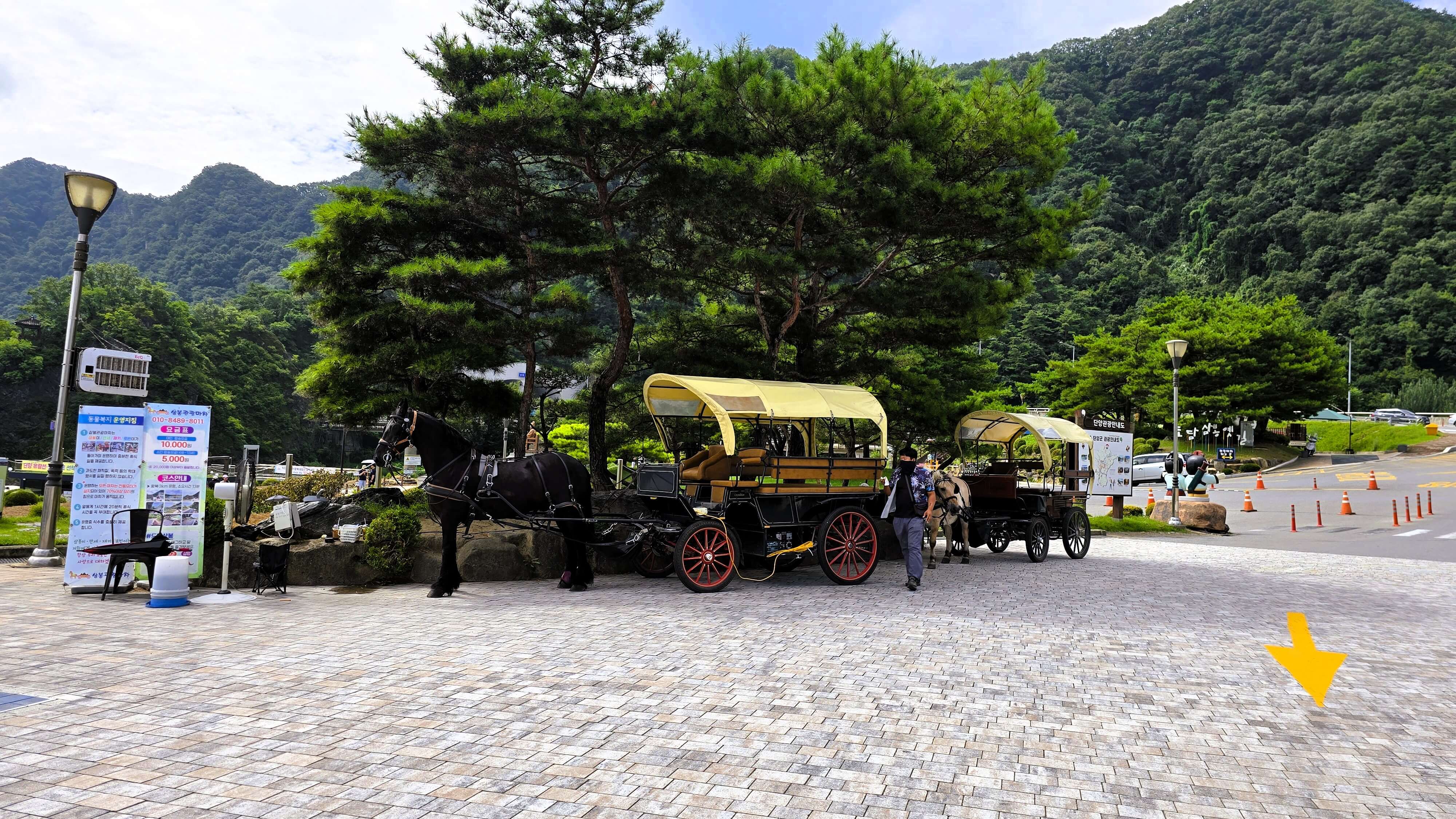 충청북도 단양 가볼만한곳∣도담삼봉 만천하스카이워크 구경시장