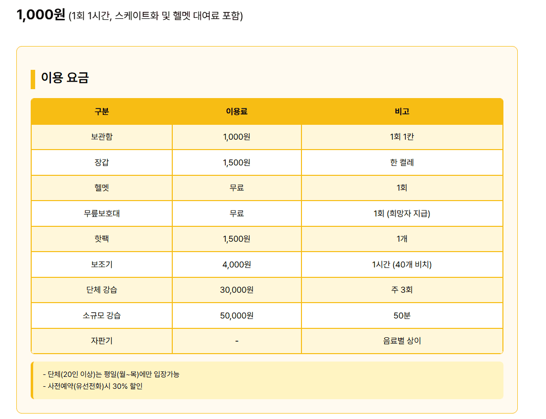 서울광장 스케이트장