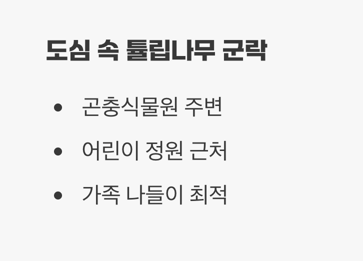 서울숲: 도심 속에서 즐기는 튤립나무 군락