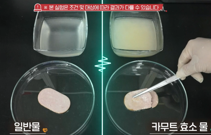 카무트 효소 효능
