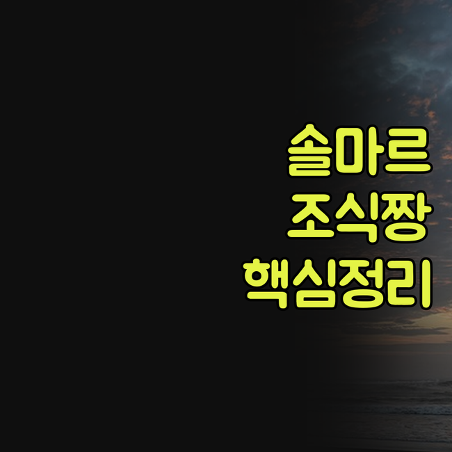 헤디 안드라드 솔마르 해변 바로 앞 ..