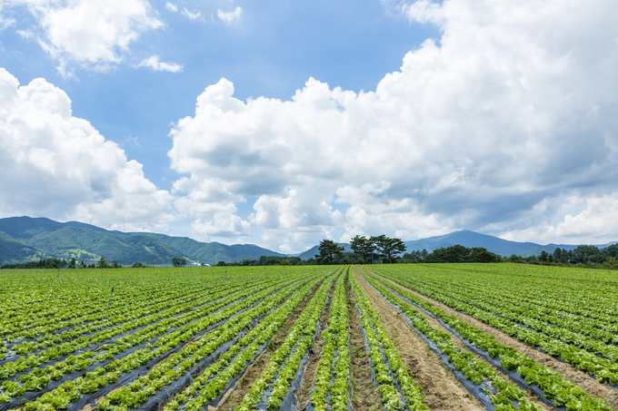 국내 농장 체험 코스