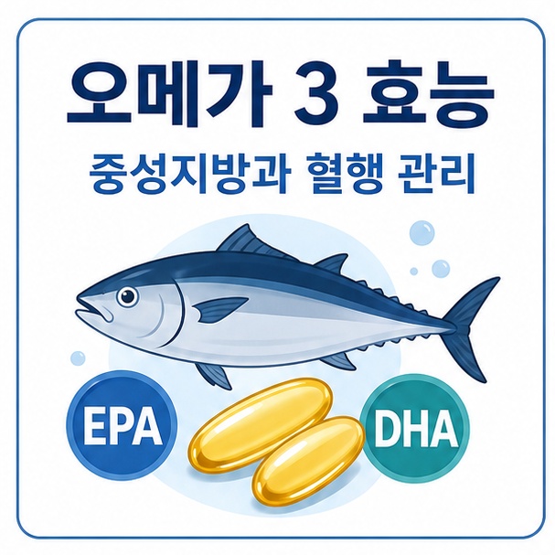생선과 오메가 3 캡슐을 이용해 EPA와 DHA가 들어 있는 오메가 3의 주요 효능을 표현한 이미지