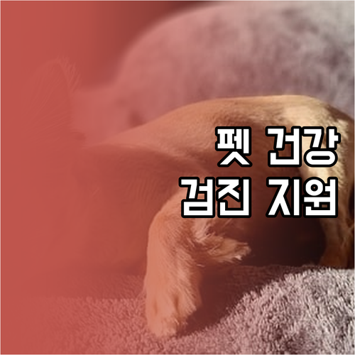 반려동물 건강 지키는 법: 지자체 건..