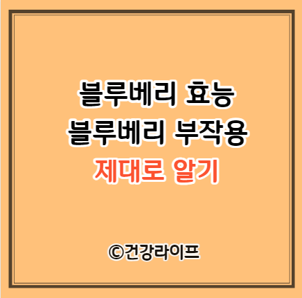 블루베리 효능&#44; 블루베리 부작용