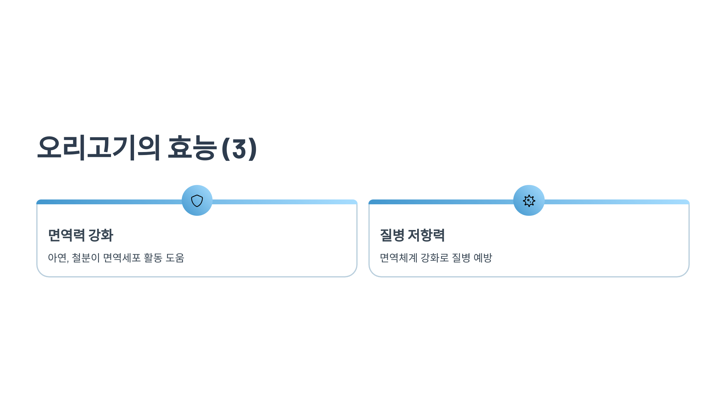 오리 사진입니다.