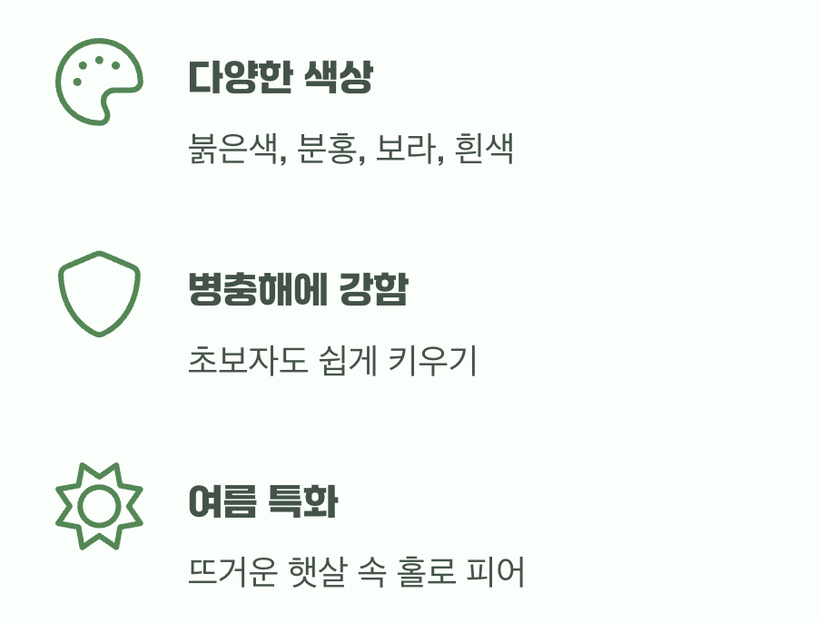 여름 정원의 완벽한 주인공