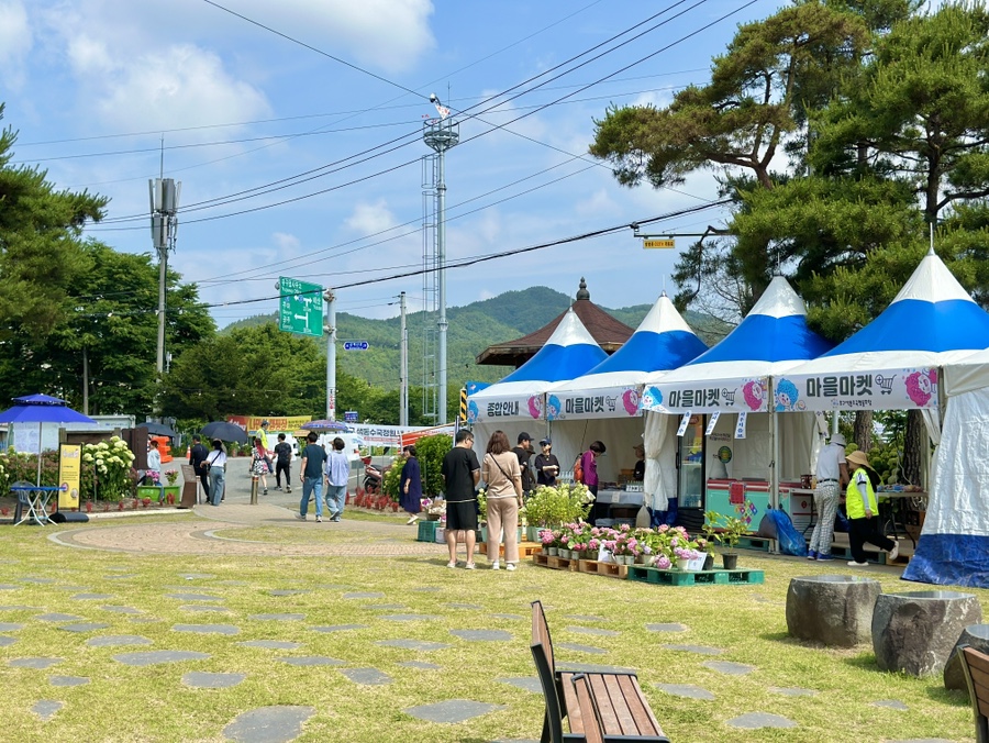 유구색동수국정원 수국축제