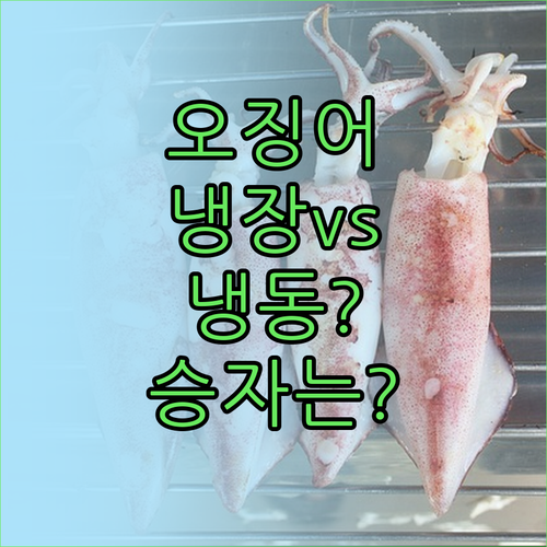 오징어 보관 방법 냉장과 냉동 비교..