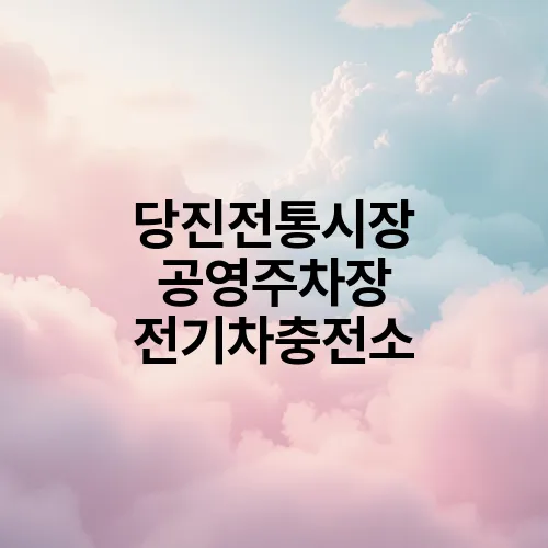 당진전통시장 공영주차장 전기차충전소