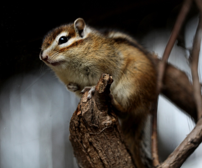 무룡산의 자연경관 사진