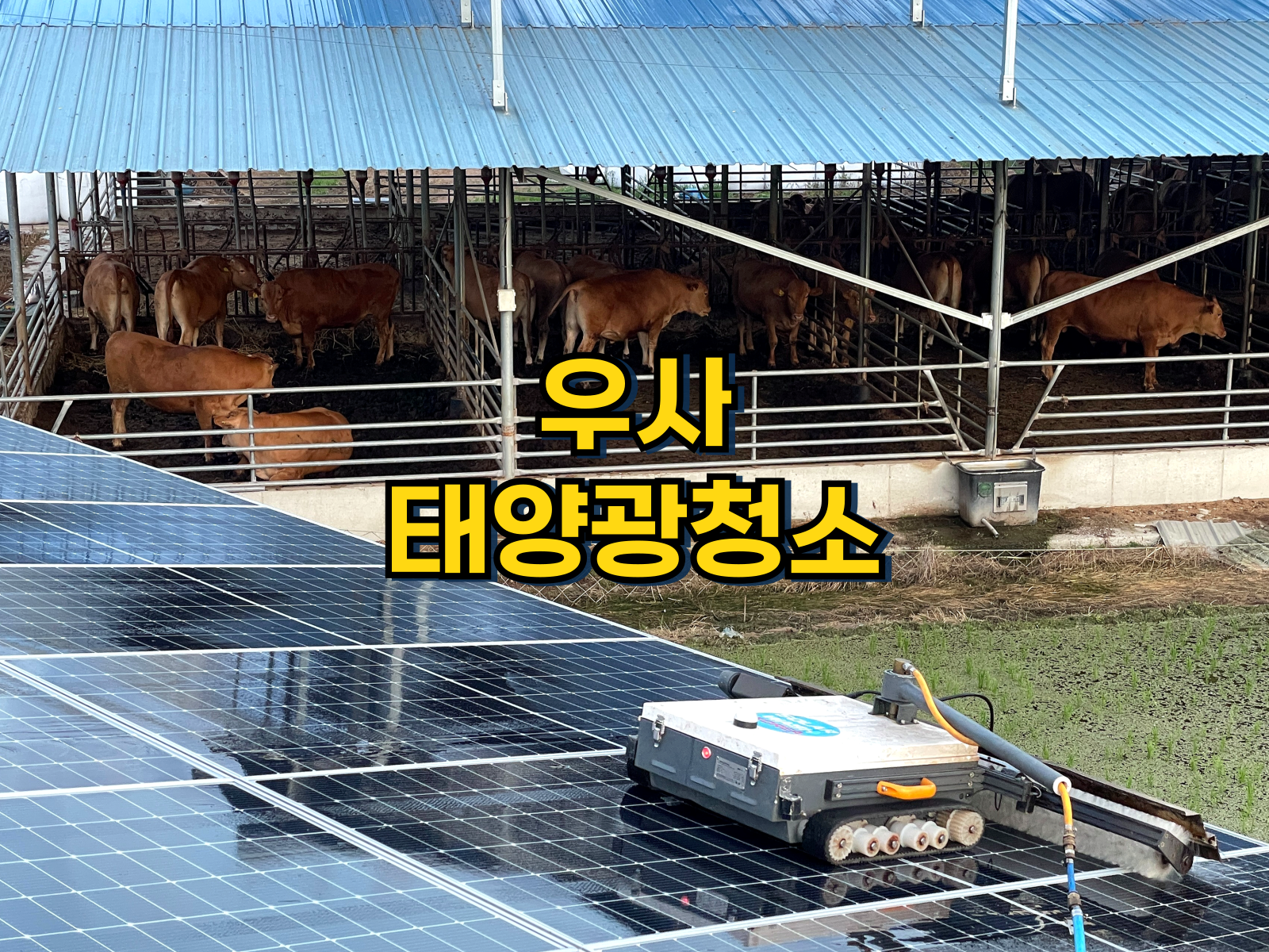 우사 위 태양광 발전소를 청소하는 하얀색 로봇