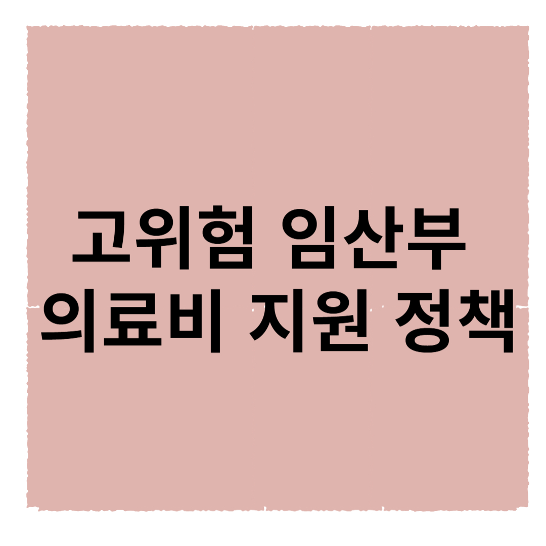 고위험 임산부 의료비 지원 정책