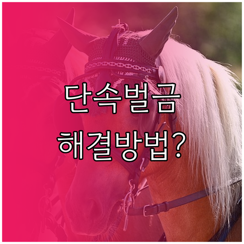 공주시 주정차 단속 알림 문자 서비스..