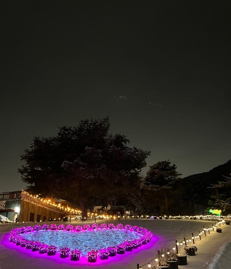 [서울 근교 여행지]산들소리 수목원 &amp; 낭만등불축제 후기
