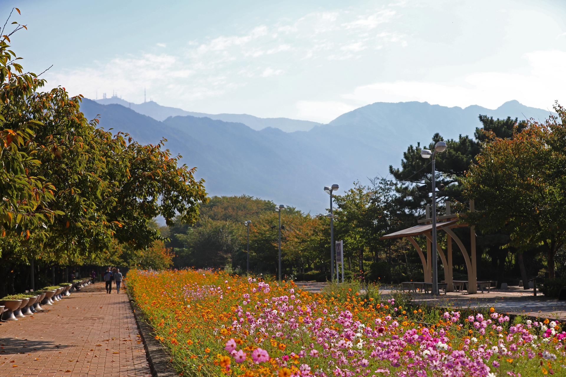 경화역