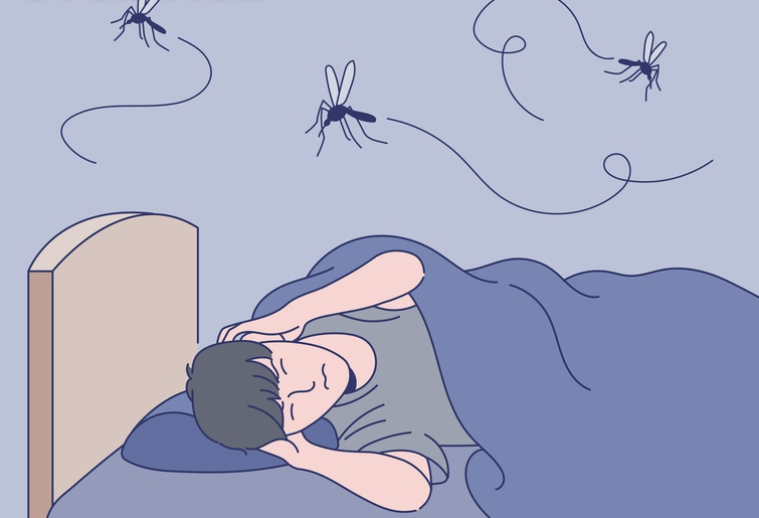 모기 퇴치 식물이 필요한 이유