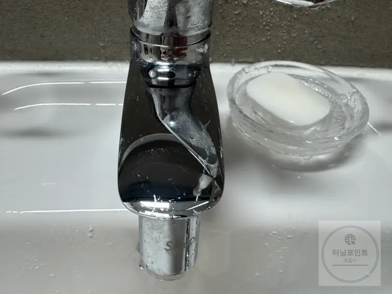 프로쉬 세제 사용 전