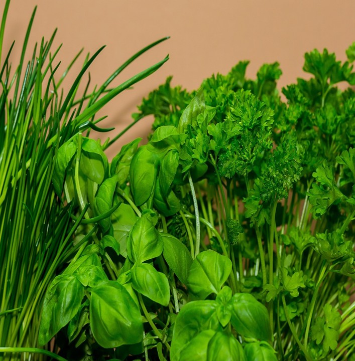 입냄새의 원인을 설명하는 인포그래픽