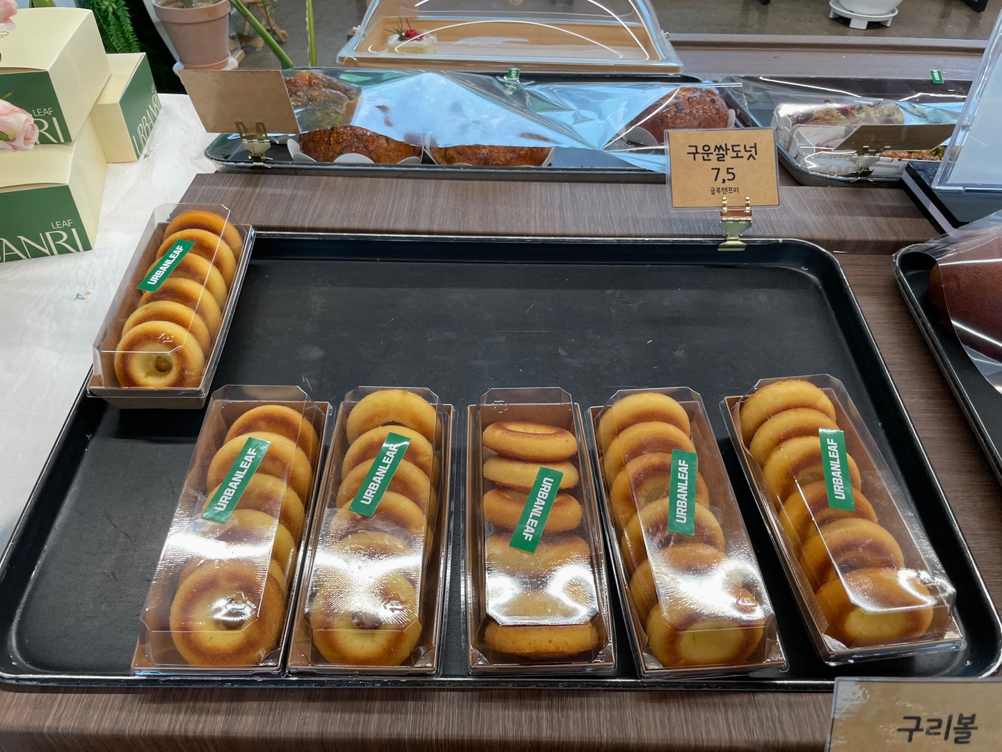 용인 식물원 베이커리 카페 어반리프