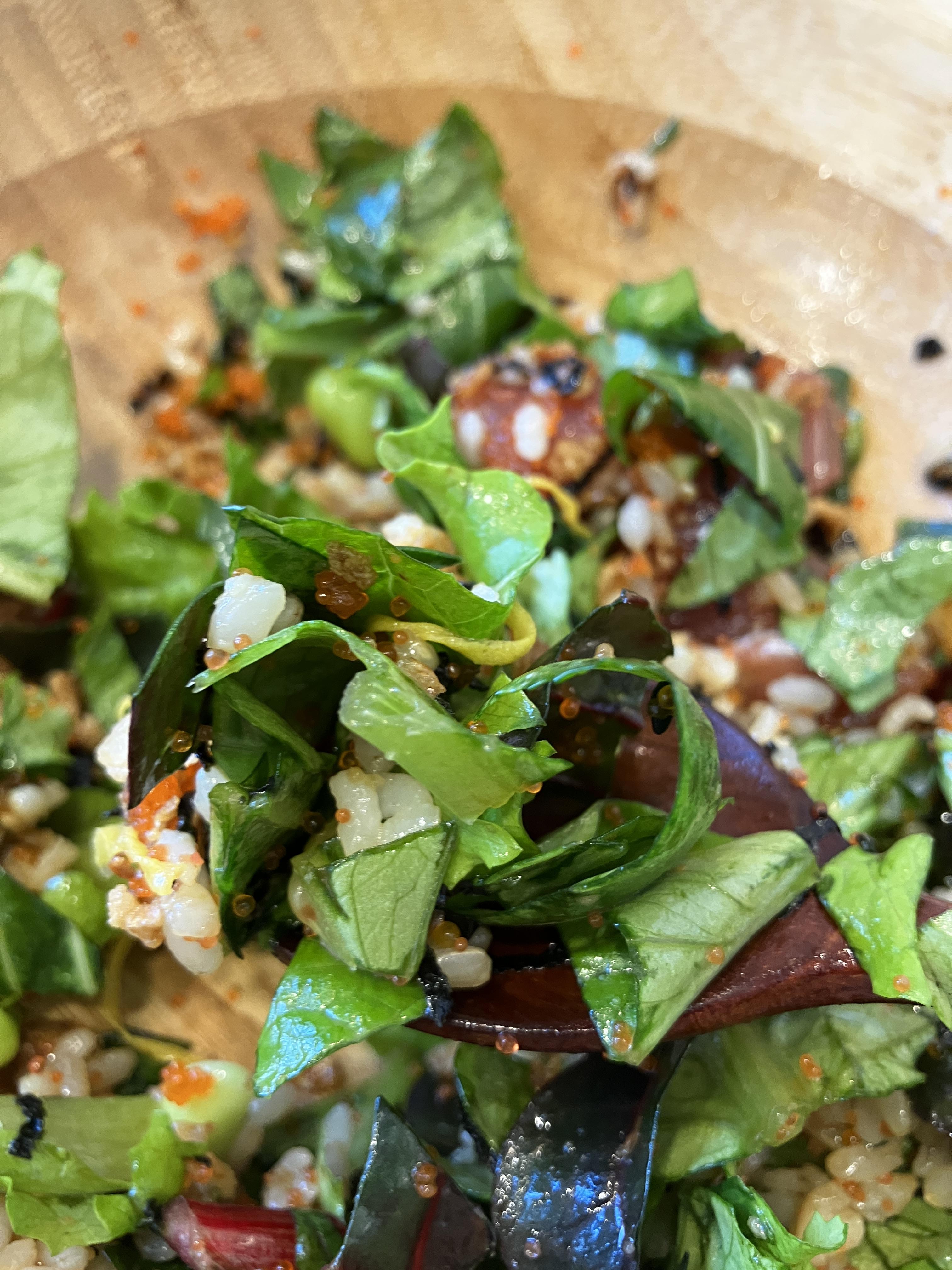 슬로우캘리 참치포케