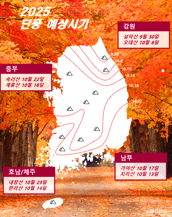 단풍개화시기