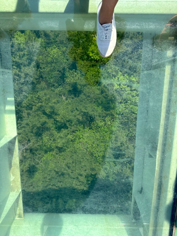 설리스카이워크