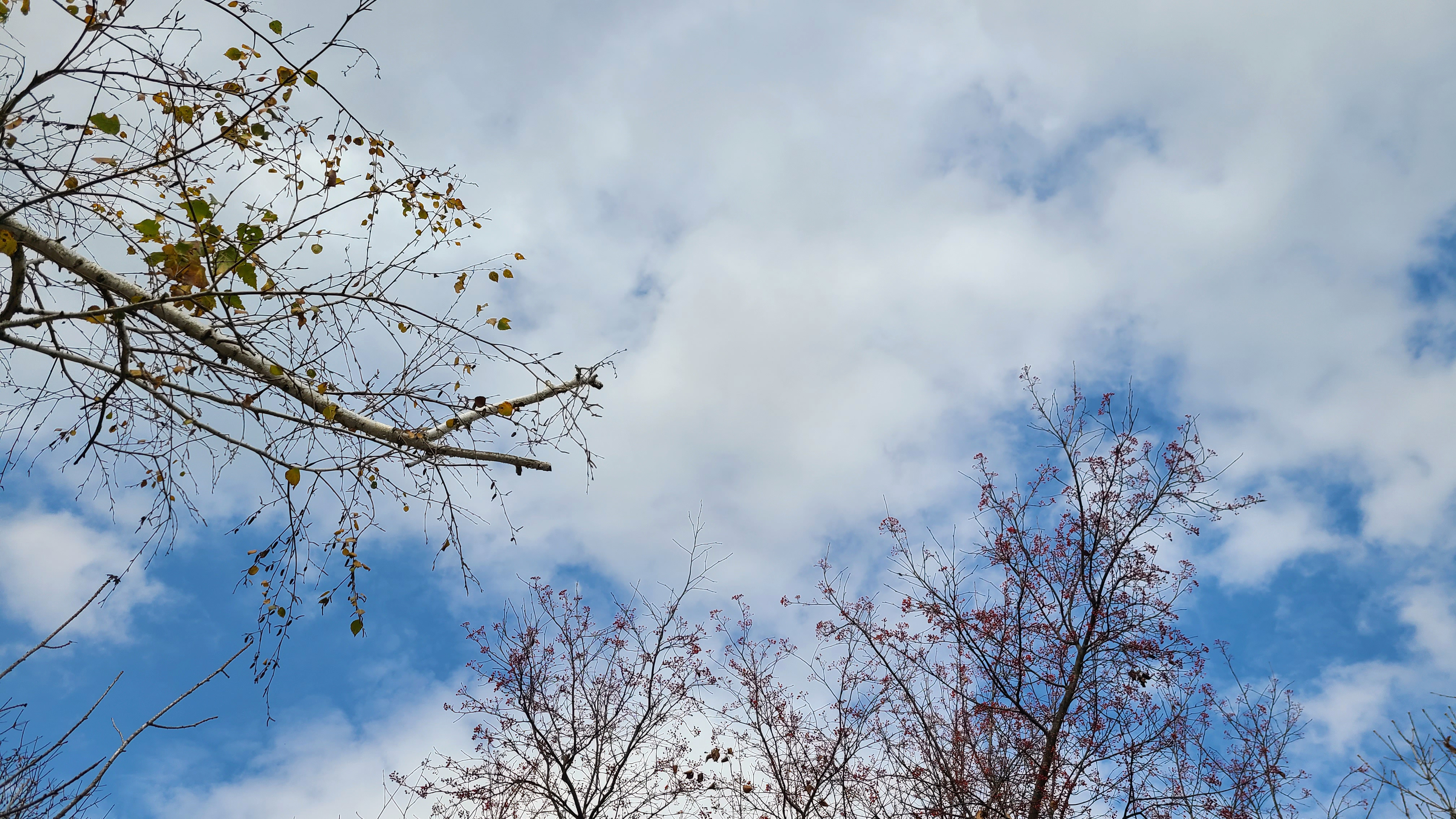 거창 '산중계곡 캠핑장'